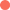 punto