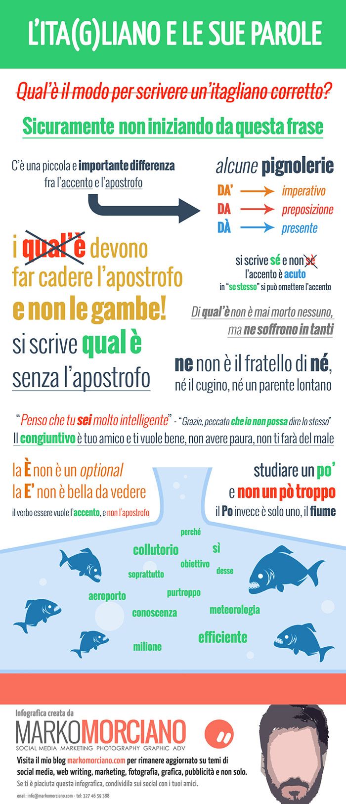 Infografica sulla grammatica italiana