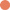 punto