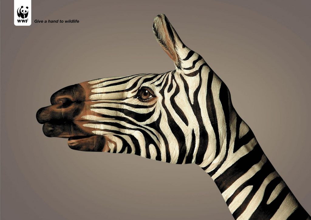 WWFZebra
