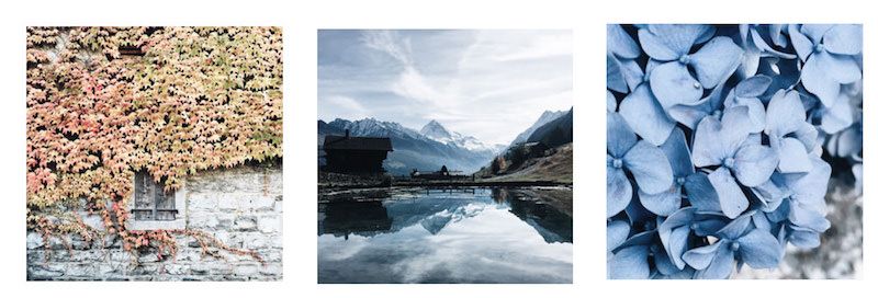 camilledea-instagram