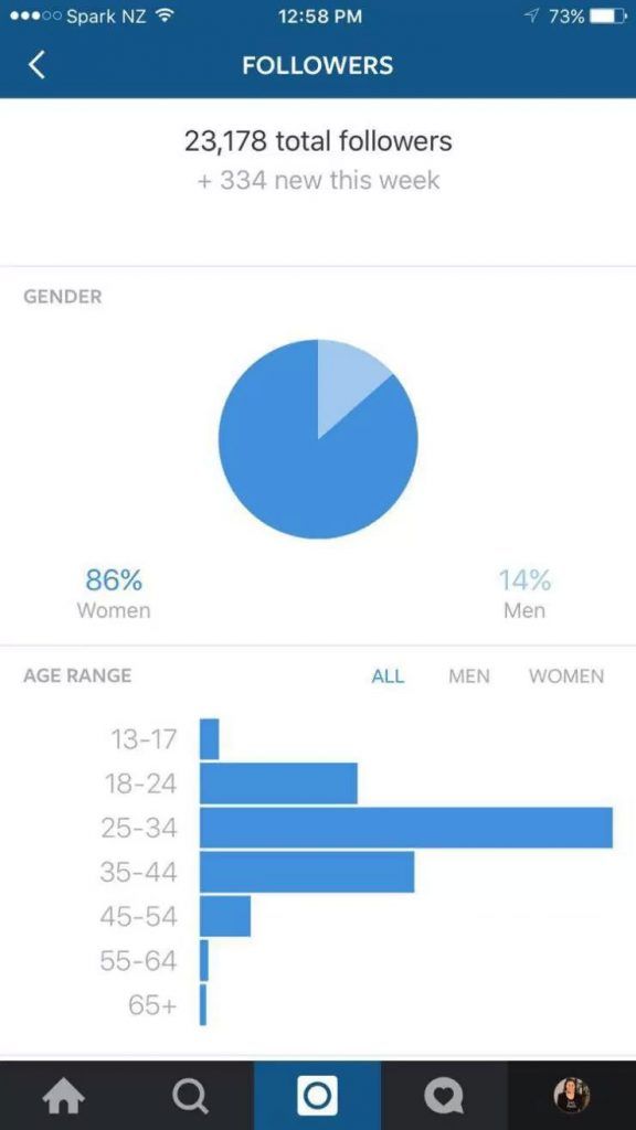 statistiche-instagram-business