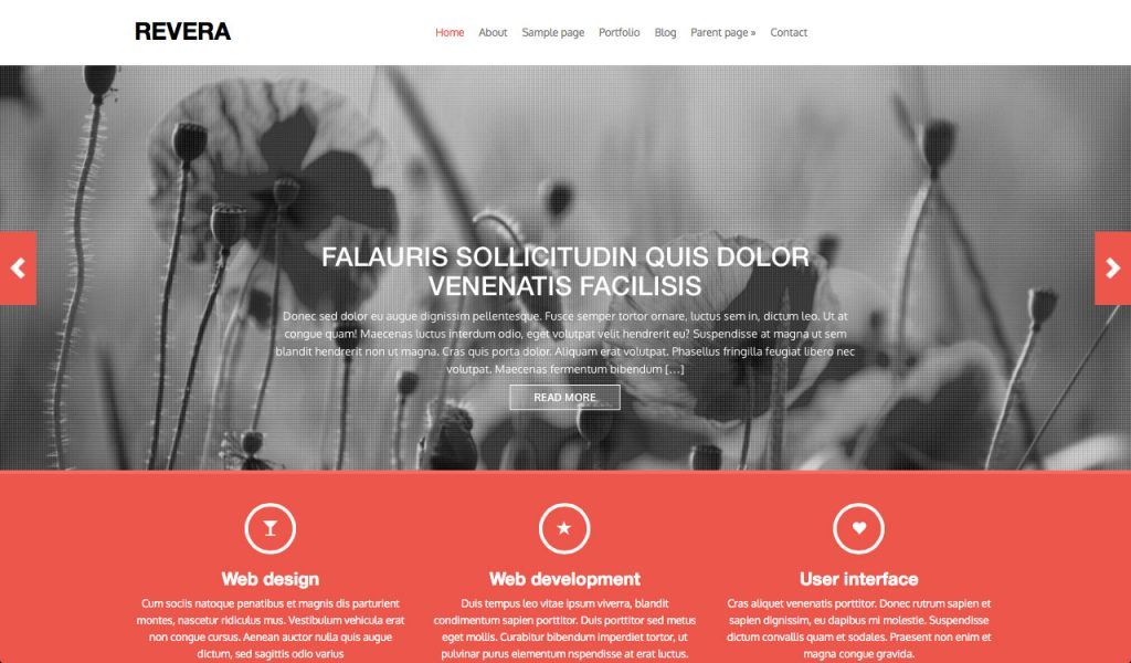 revera-theme-wordpress-responsive-freejpg